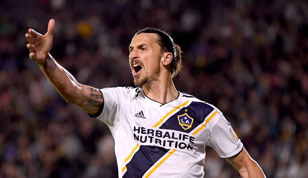 Златан Ібрагімовіч / Фото: соцмережі