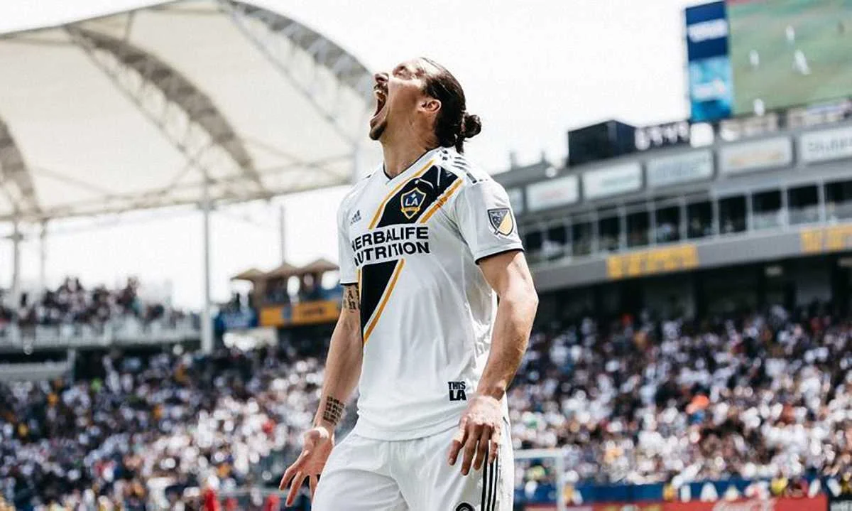 Златан Ібрагімовіч / фото із соцмереж