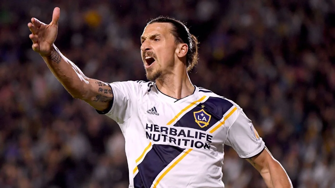 Златан Ібрагімовіч / Reuters