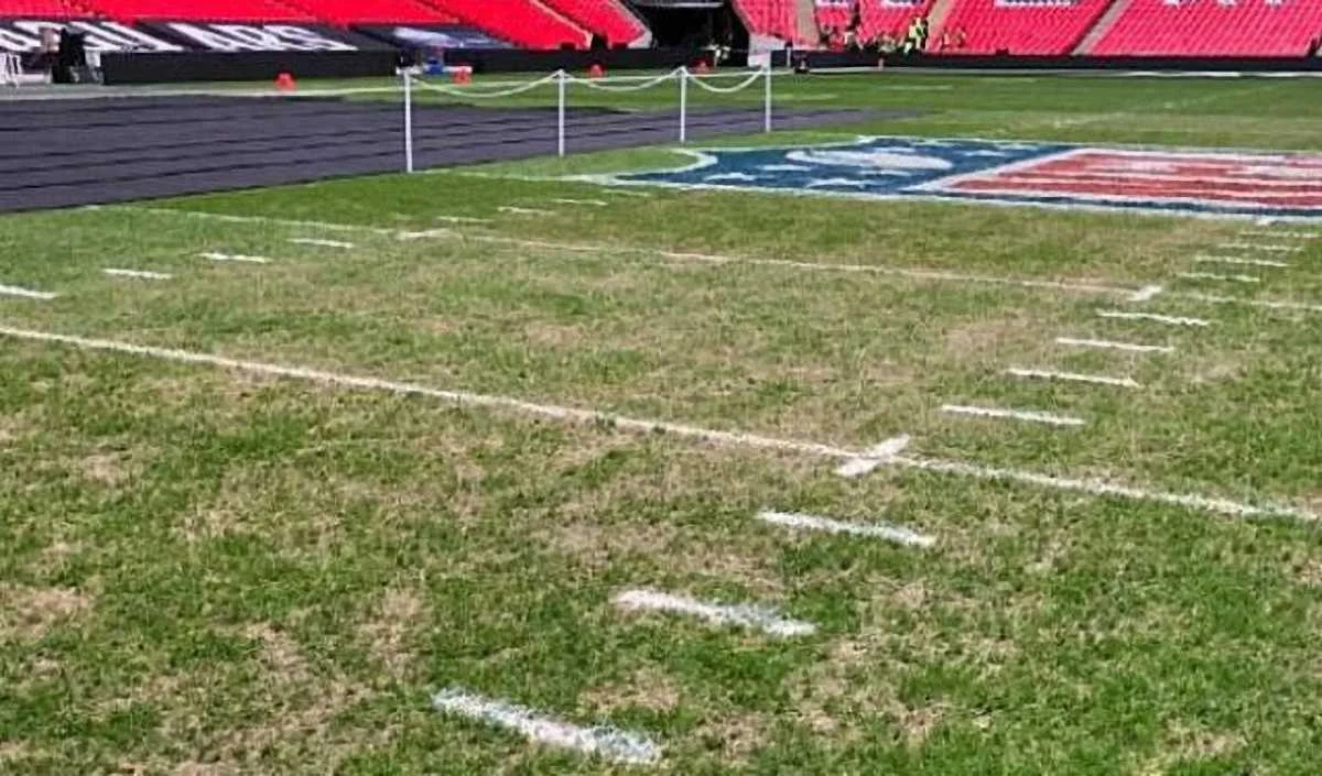 Газон стадиона Уэмбли / Daily Mail