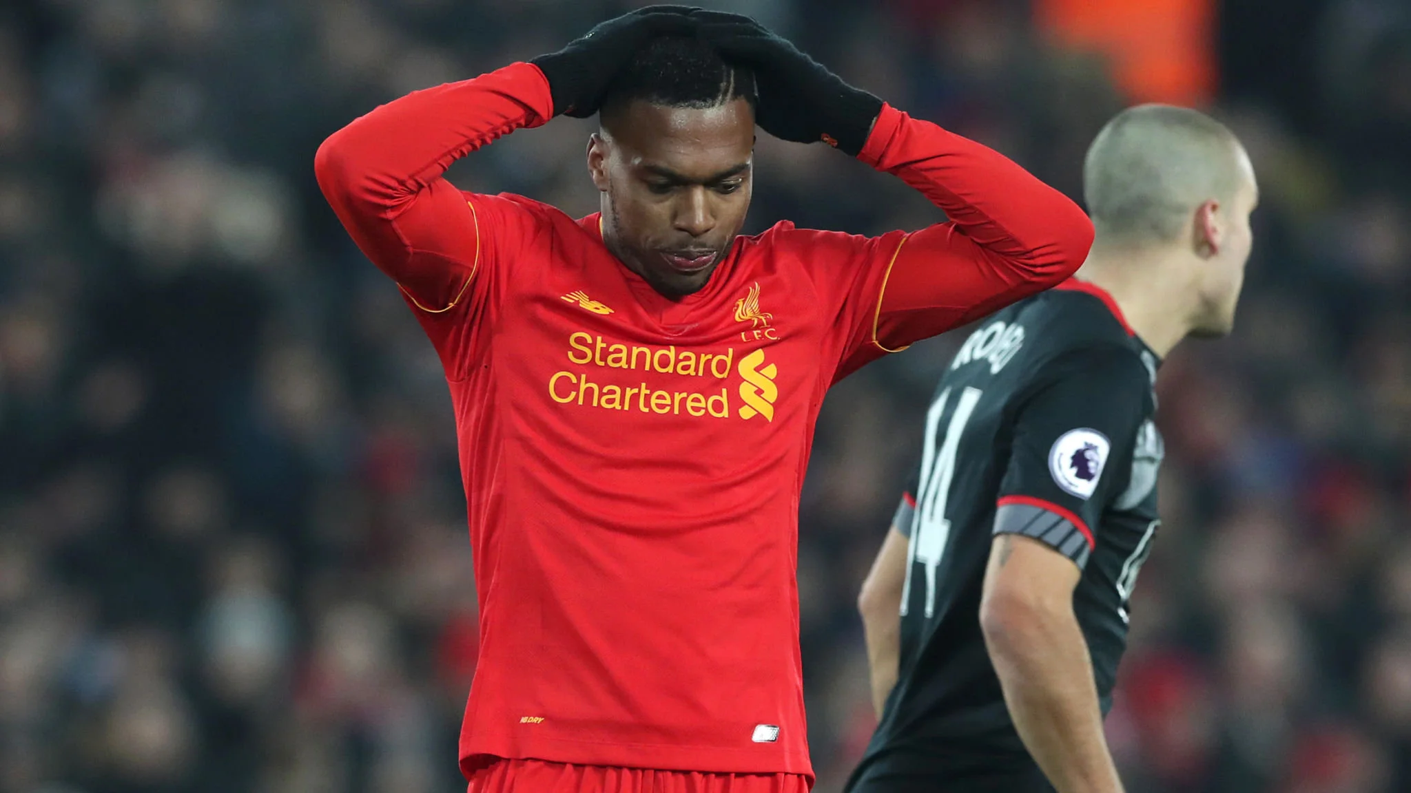 Даніель Старрідж / фото із соцмереж