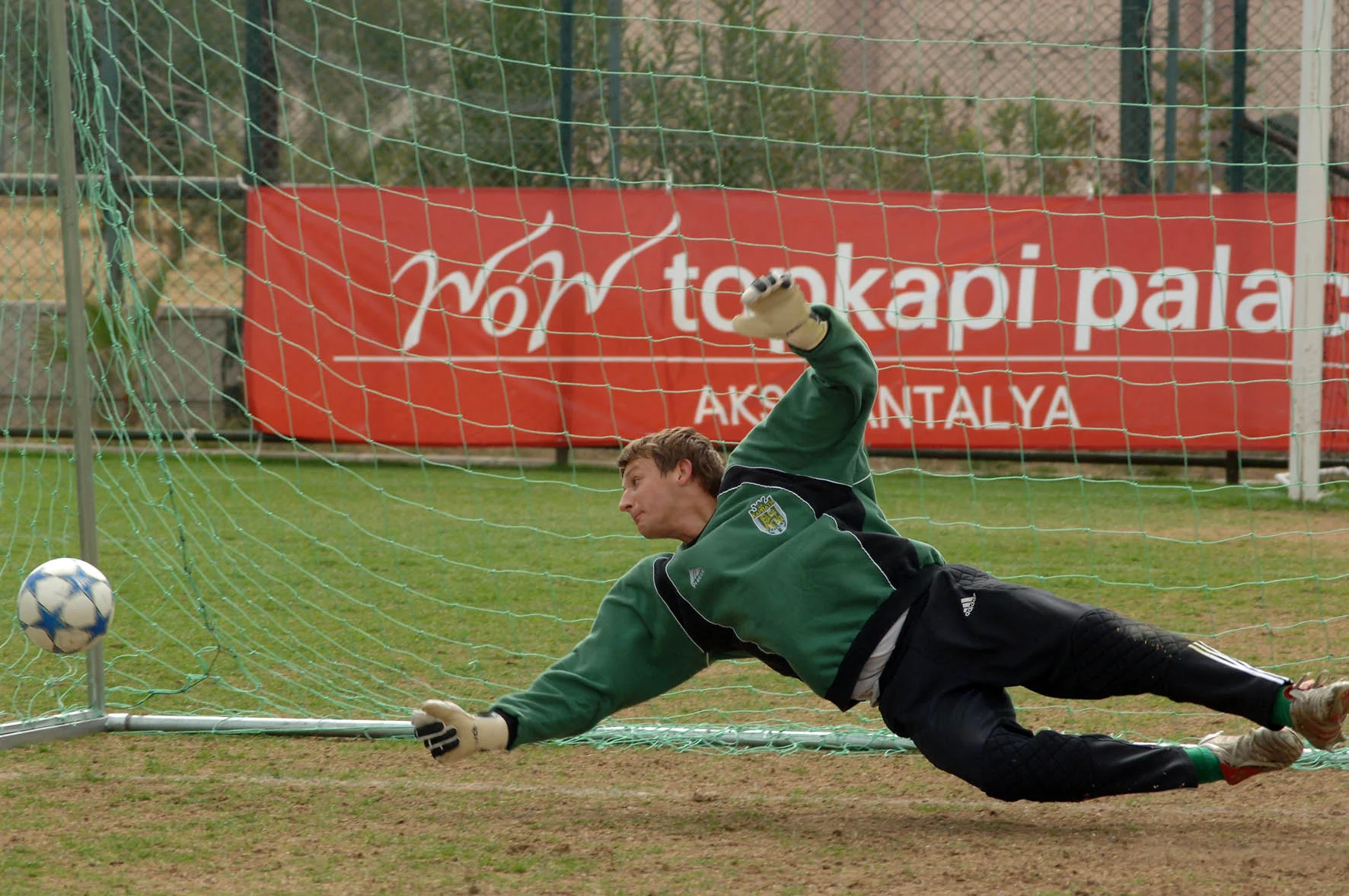 налєпа налєпа