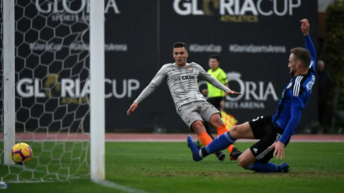 Шахтер победил Карабах / фото: ФК Шахтер