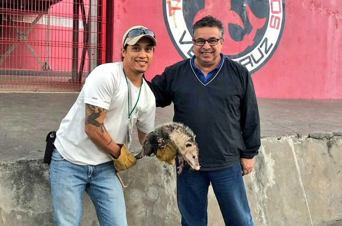 Jarochito / фото із соцмереж