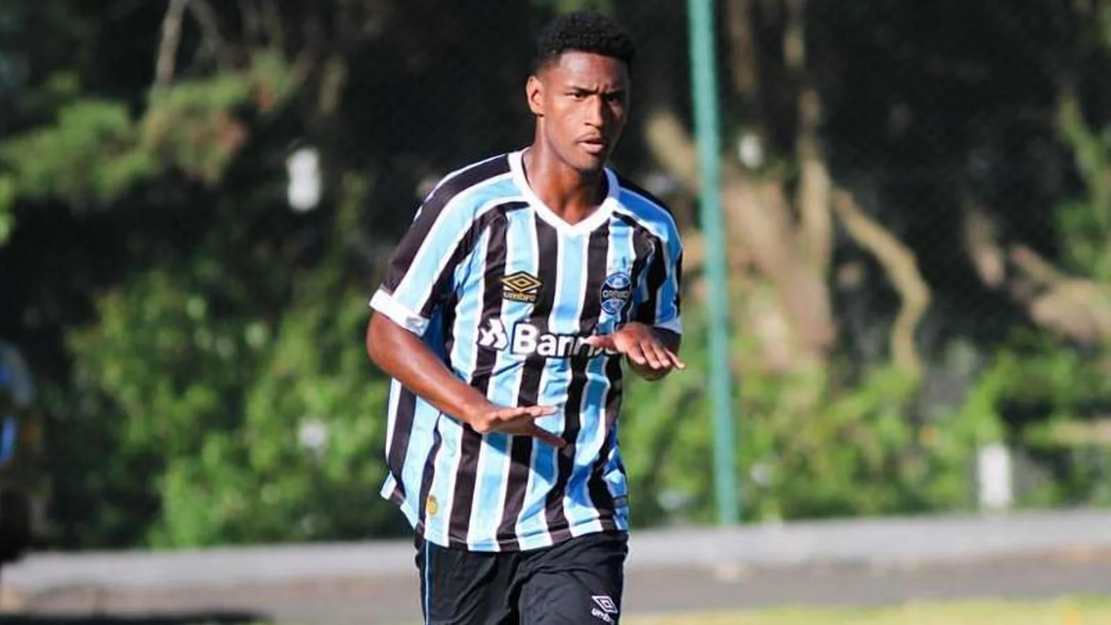 Тете / Фото: Гремио