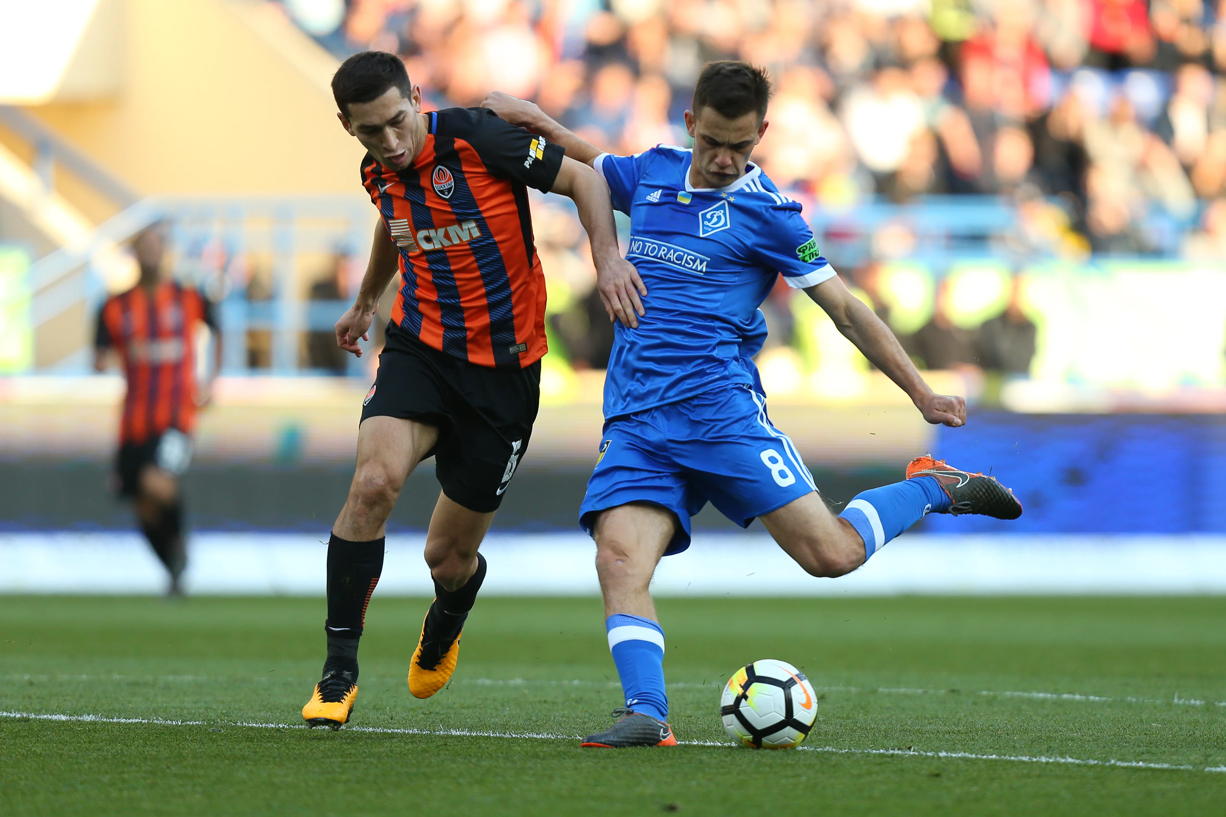 Динамо сыграет с Шахтером через месяц / фото: А. Осипов