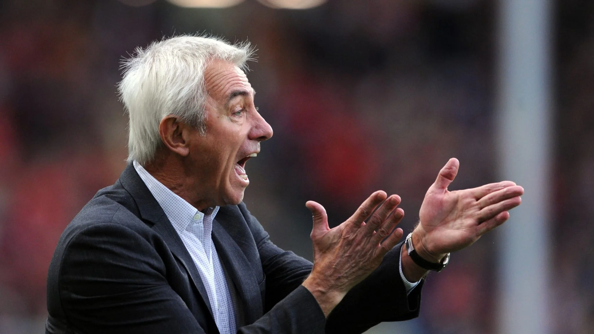 Берт ван Марвейк / FIFA