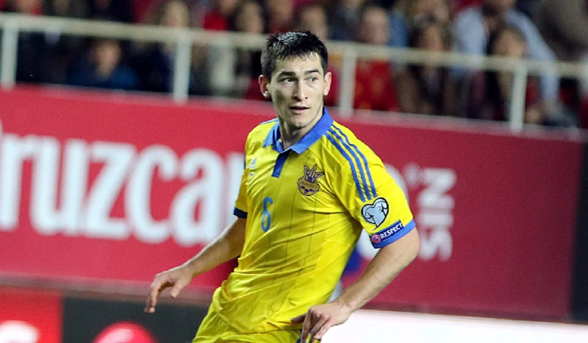 Тарас Степаненко на Євро-2016 / Соцмережі