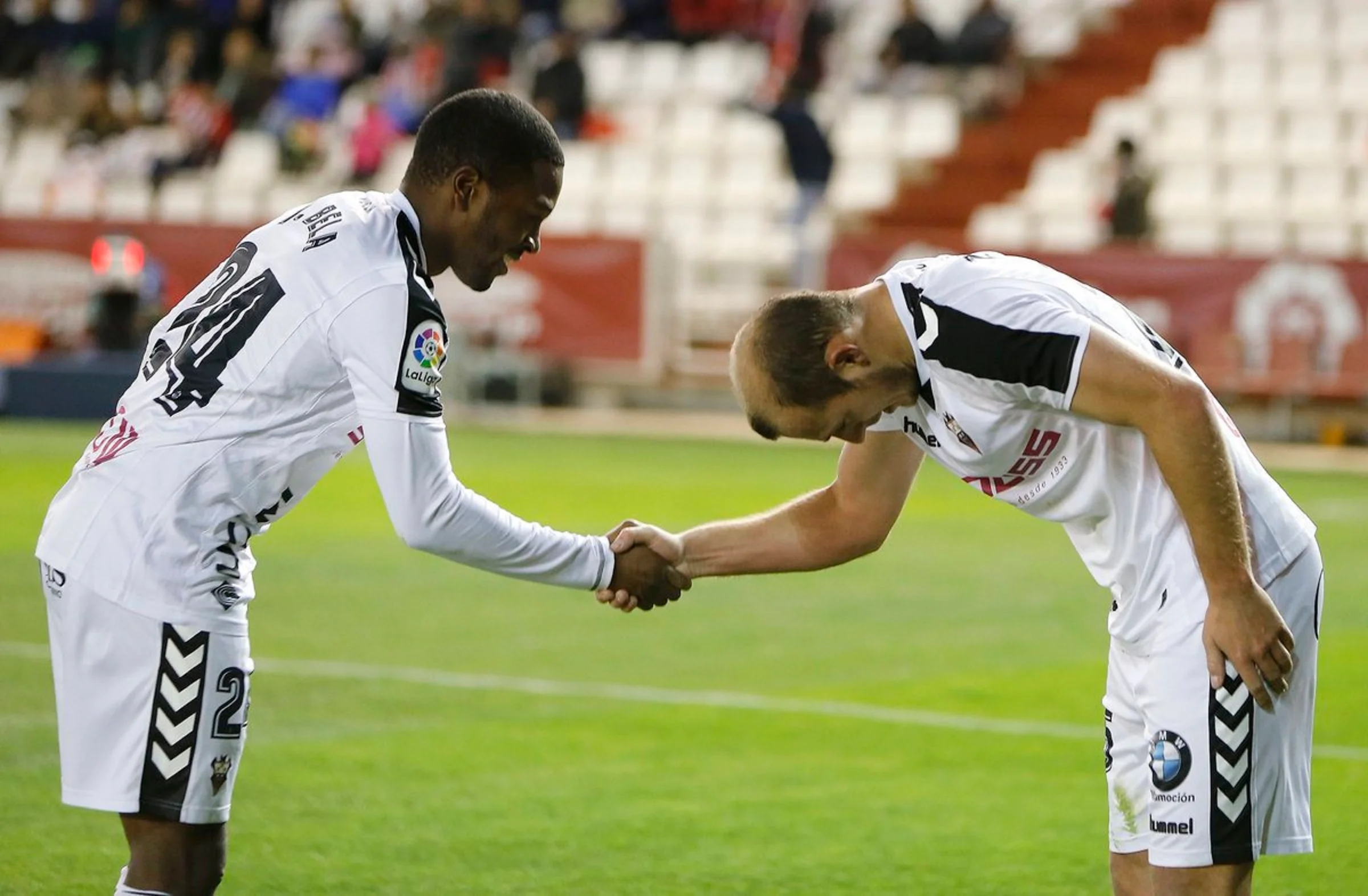 Зозуля та його темношкірий друг Бела