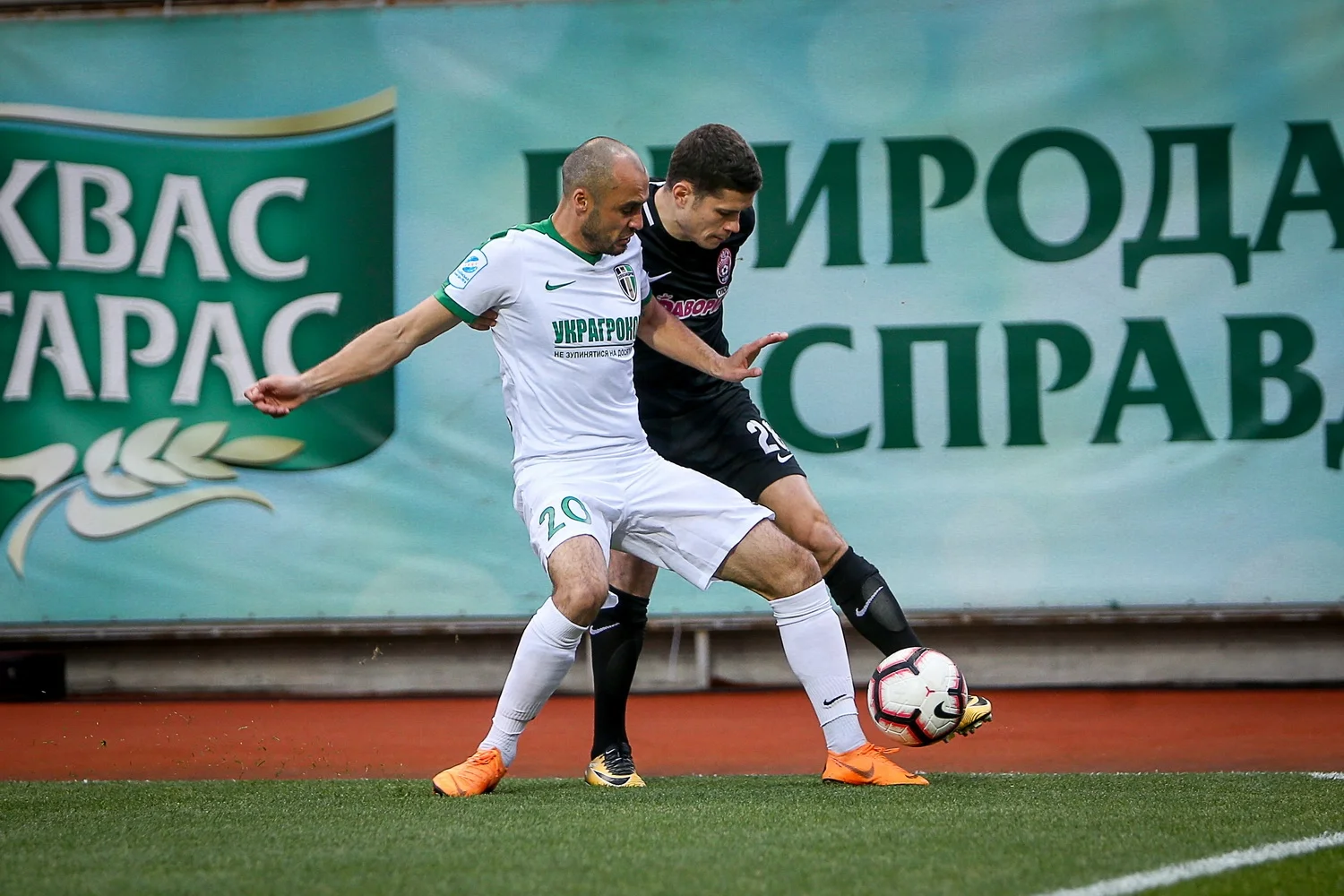 Александрия – Заря: анонс матча УПЛ