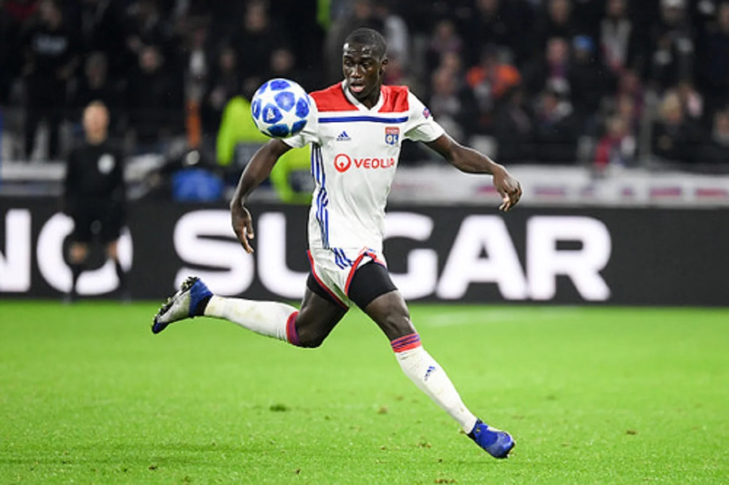 Ферлан Мэнди / Фото ФК Лион