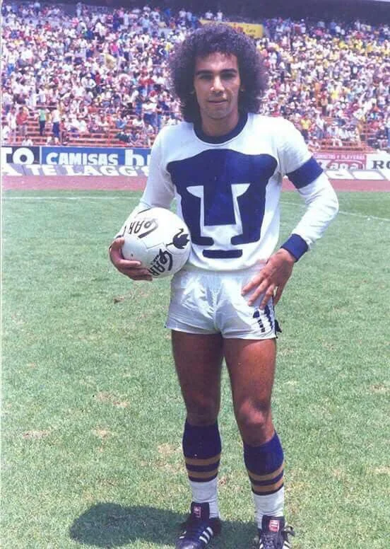 санчес санчес