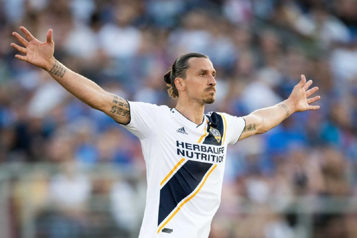 Златан Ибрагимович / фото из соцсетей