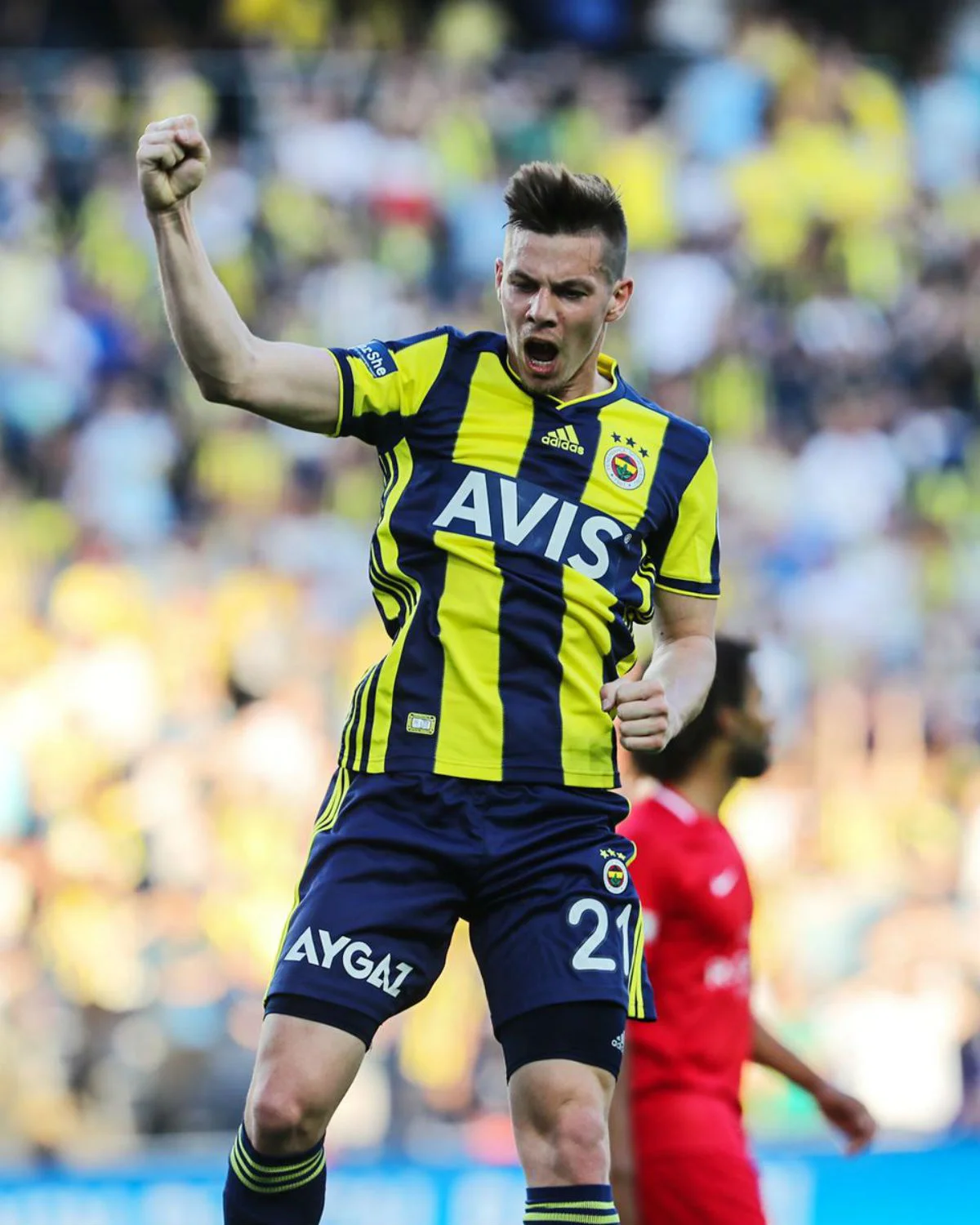 Міха Зайц / ФК Фенербахче