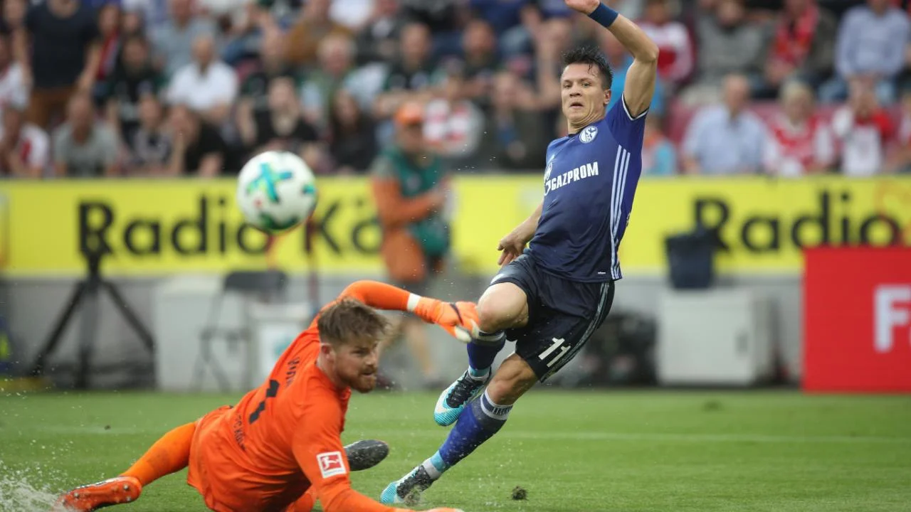 Коноплянка близок к Турции