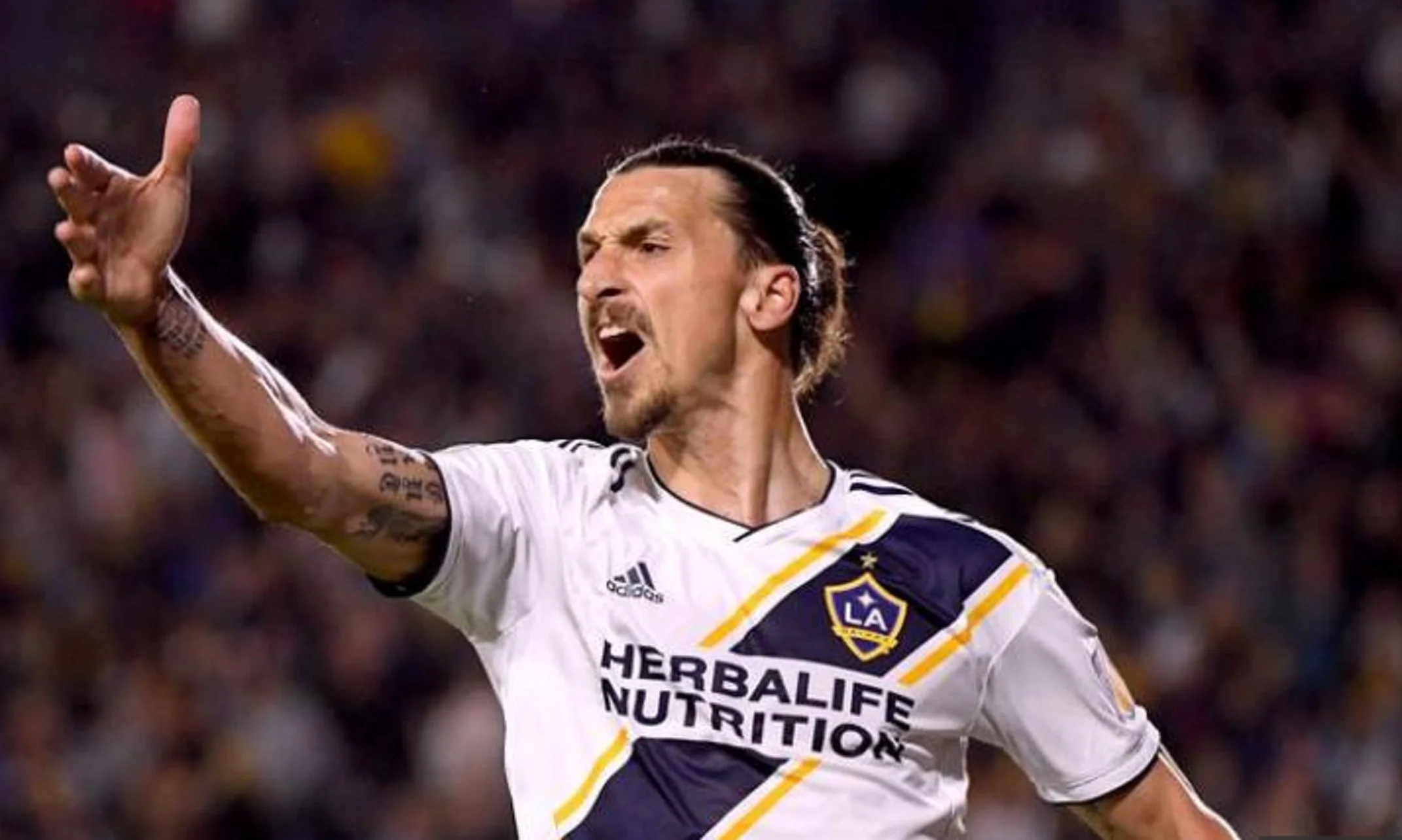 Златан Ібрагімовіч / Фото MLS