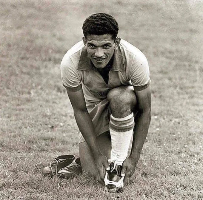 гаррінча гаррінча