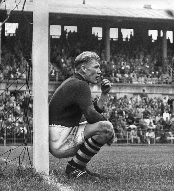 траутманн траутманн