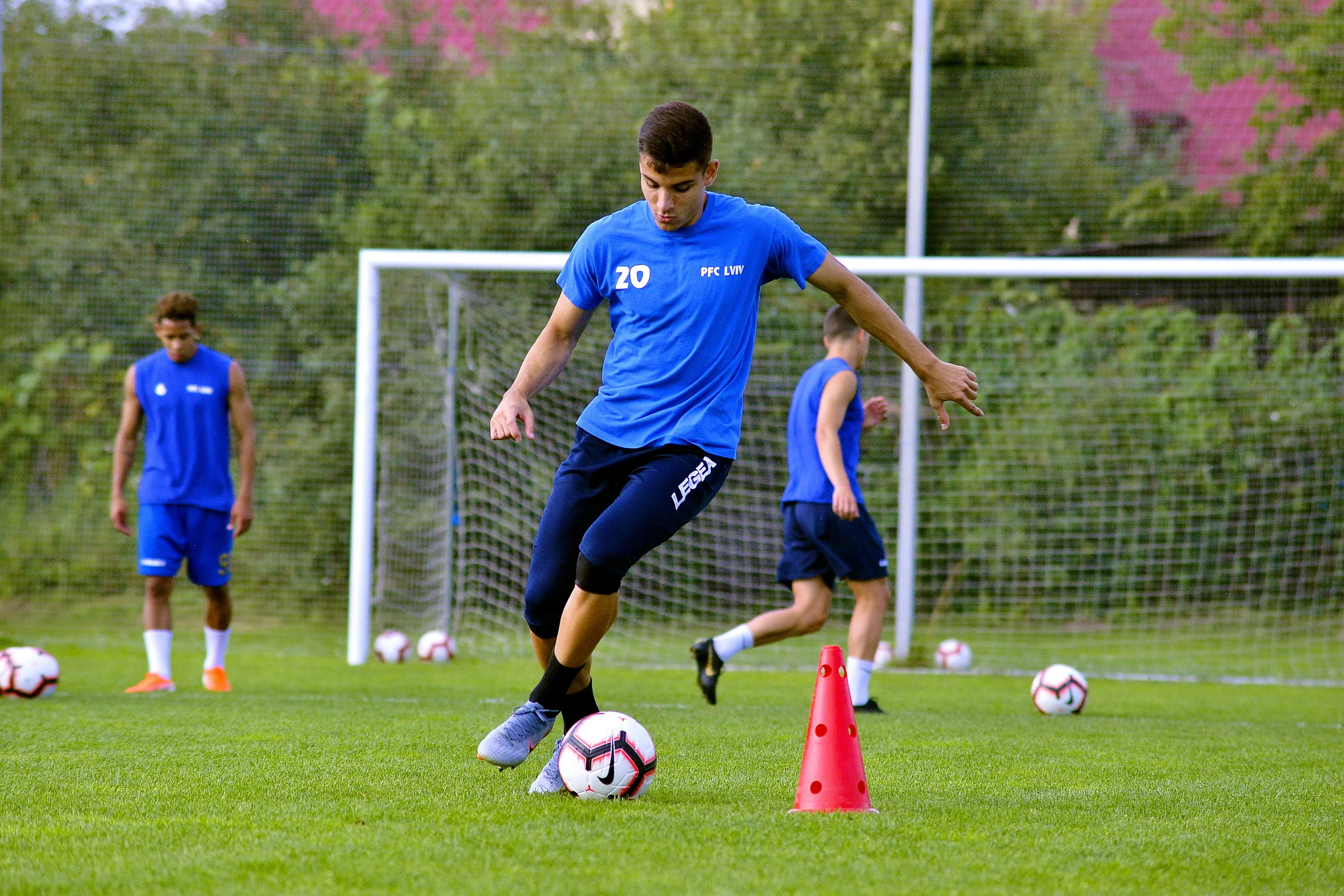 Араужо / ФК Львов