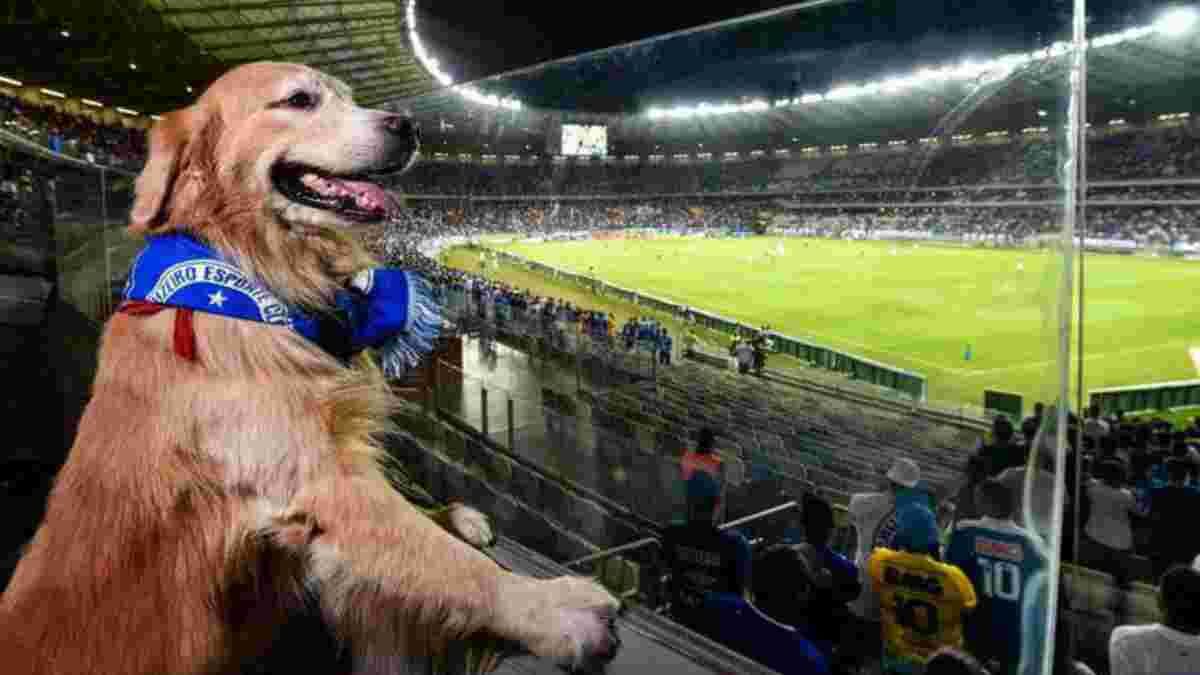 Собака епічно перервав матч чемпіонату Бразилії та зганьбив стюарда – відео дня