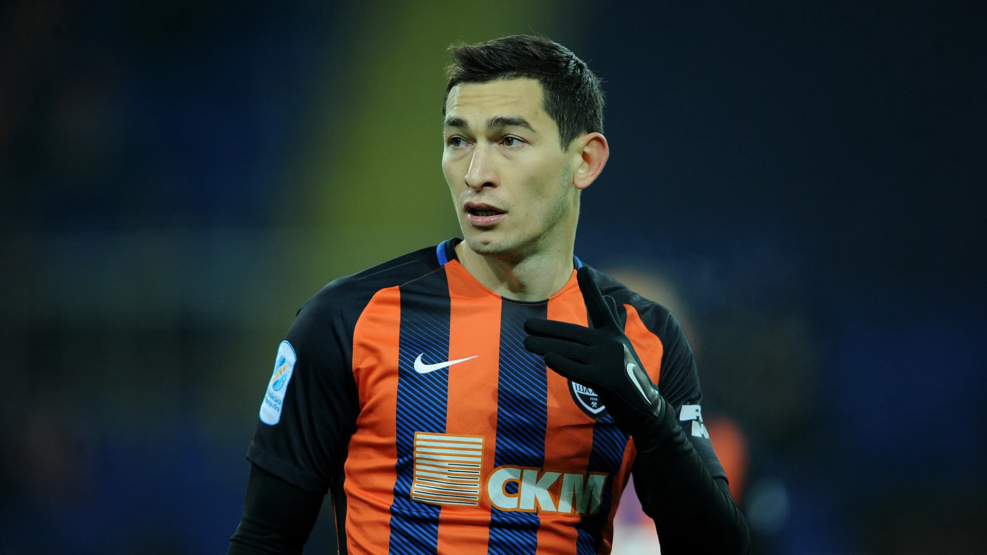 степаненко