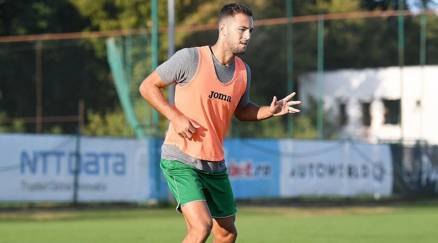 Александру Бойчук / Карпати