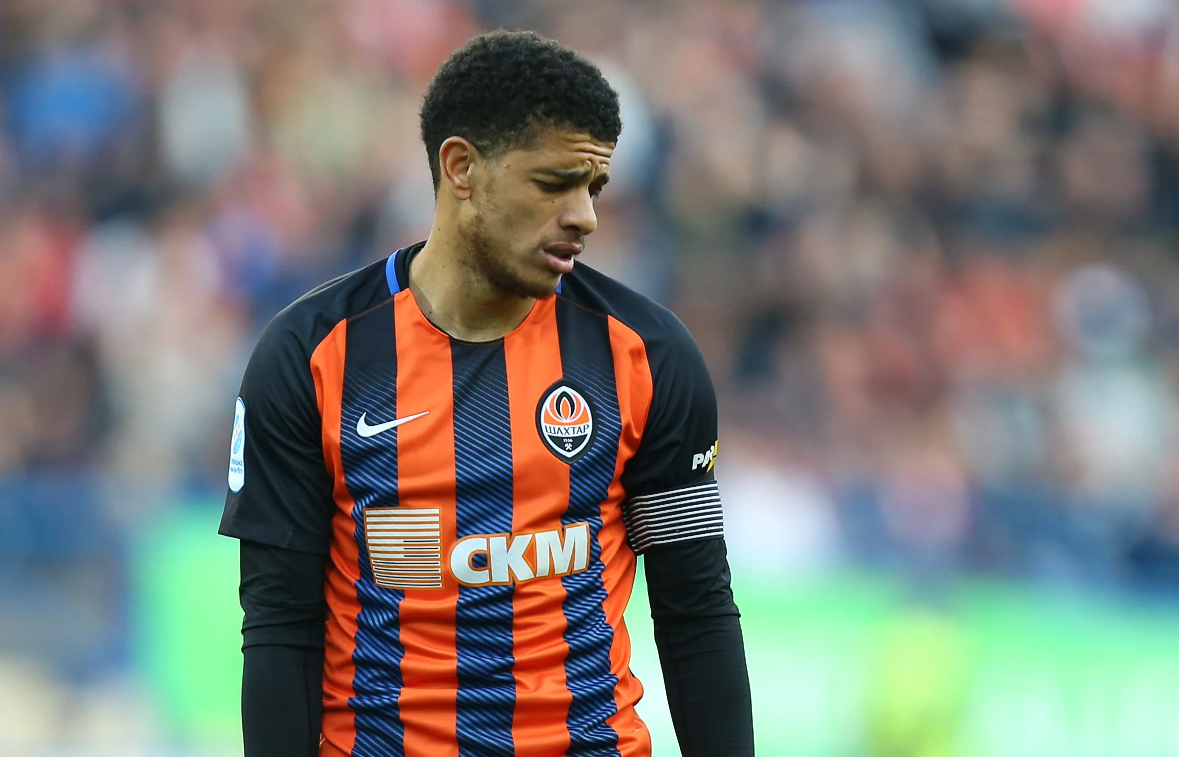 Тайсон / фото О. Осипова