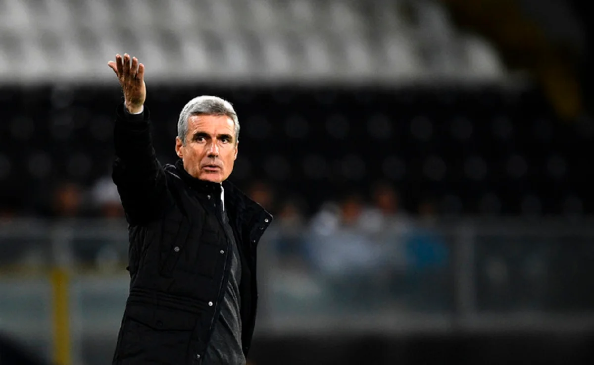 Луиш Каштру / ФК Шахтер