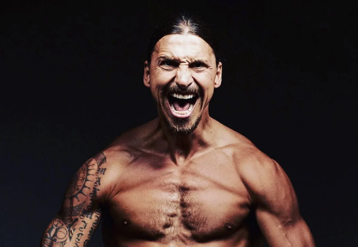 Златан Ибрагимович / Фото из открытых источников