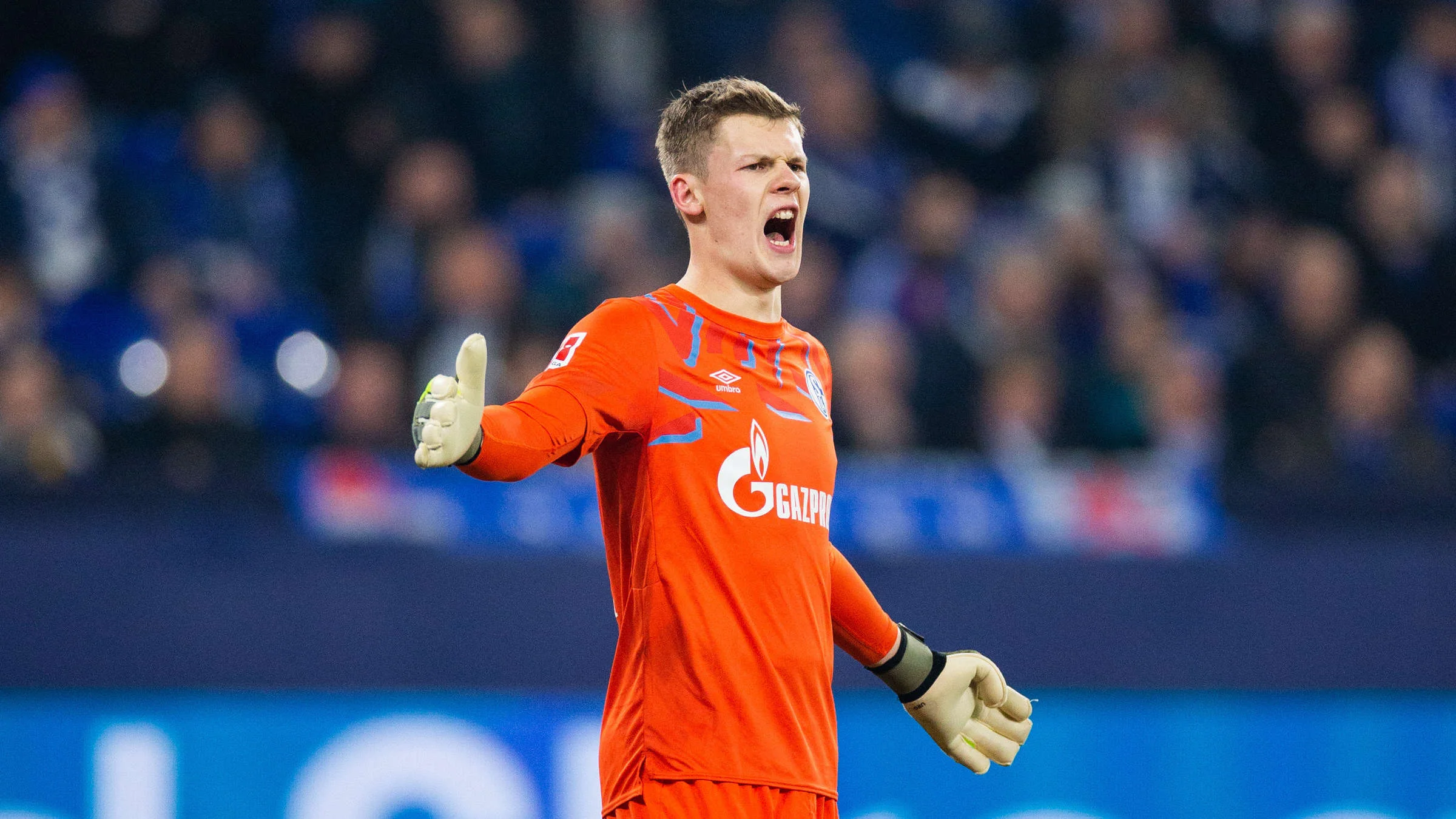 Александер Нюбель / TZ