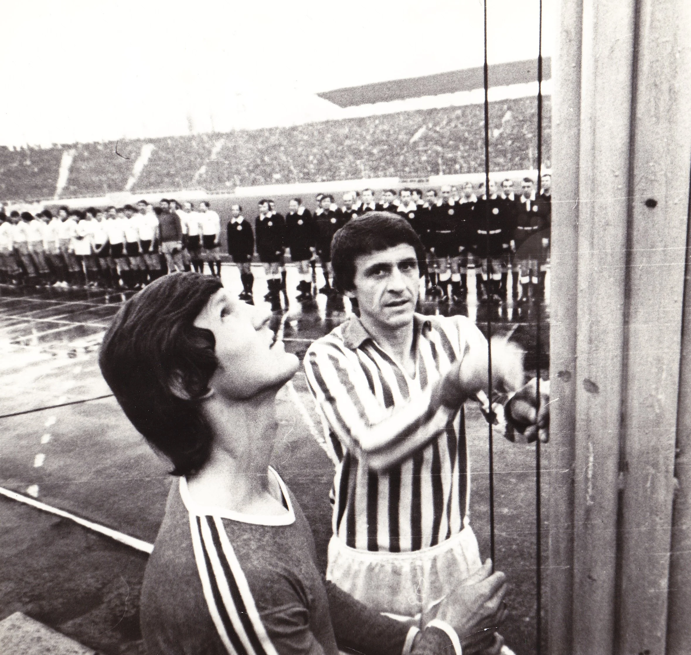 броварський броварський