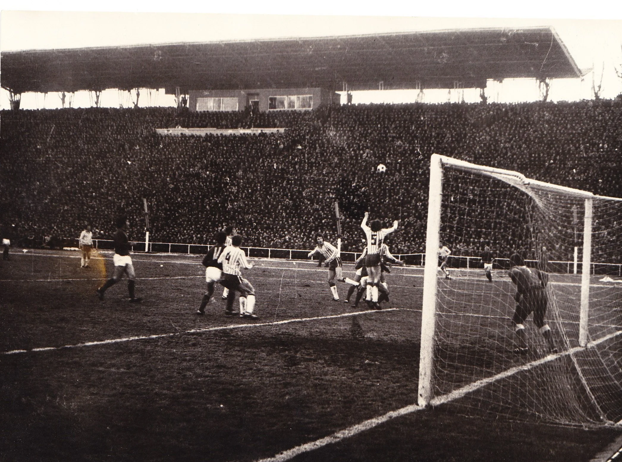 карпати карпати