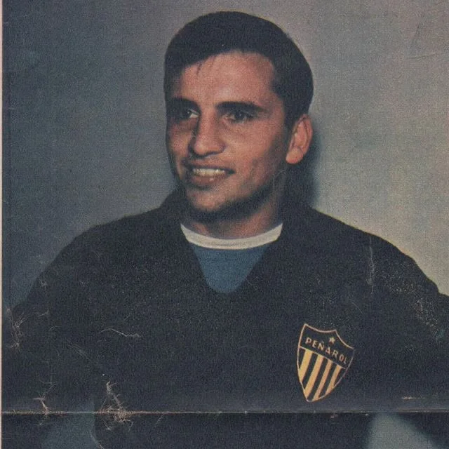 мазуркевіч мазуркевіч