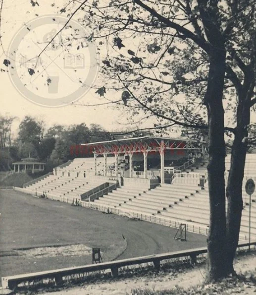 динамо динамо