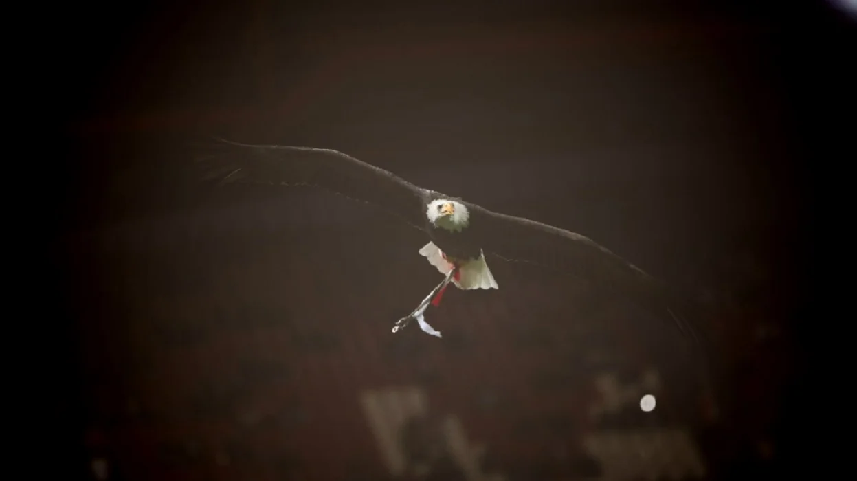 Aguia Vitоria не здобув для Бенфіки перемогу / Фото ФК Бенфіка