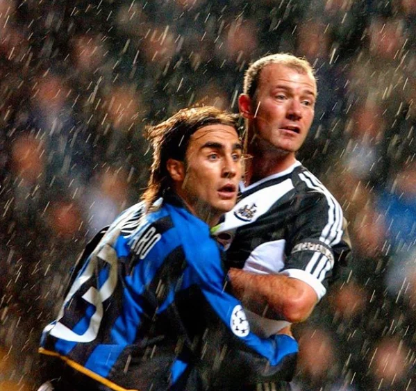 каннаваро ширер