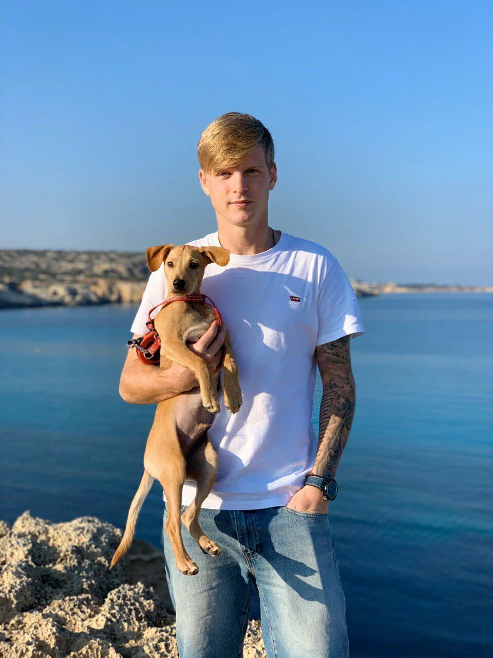 марковський марковський