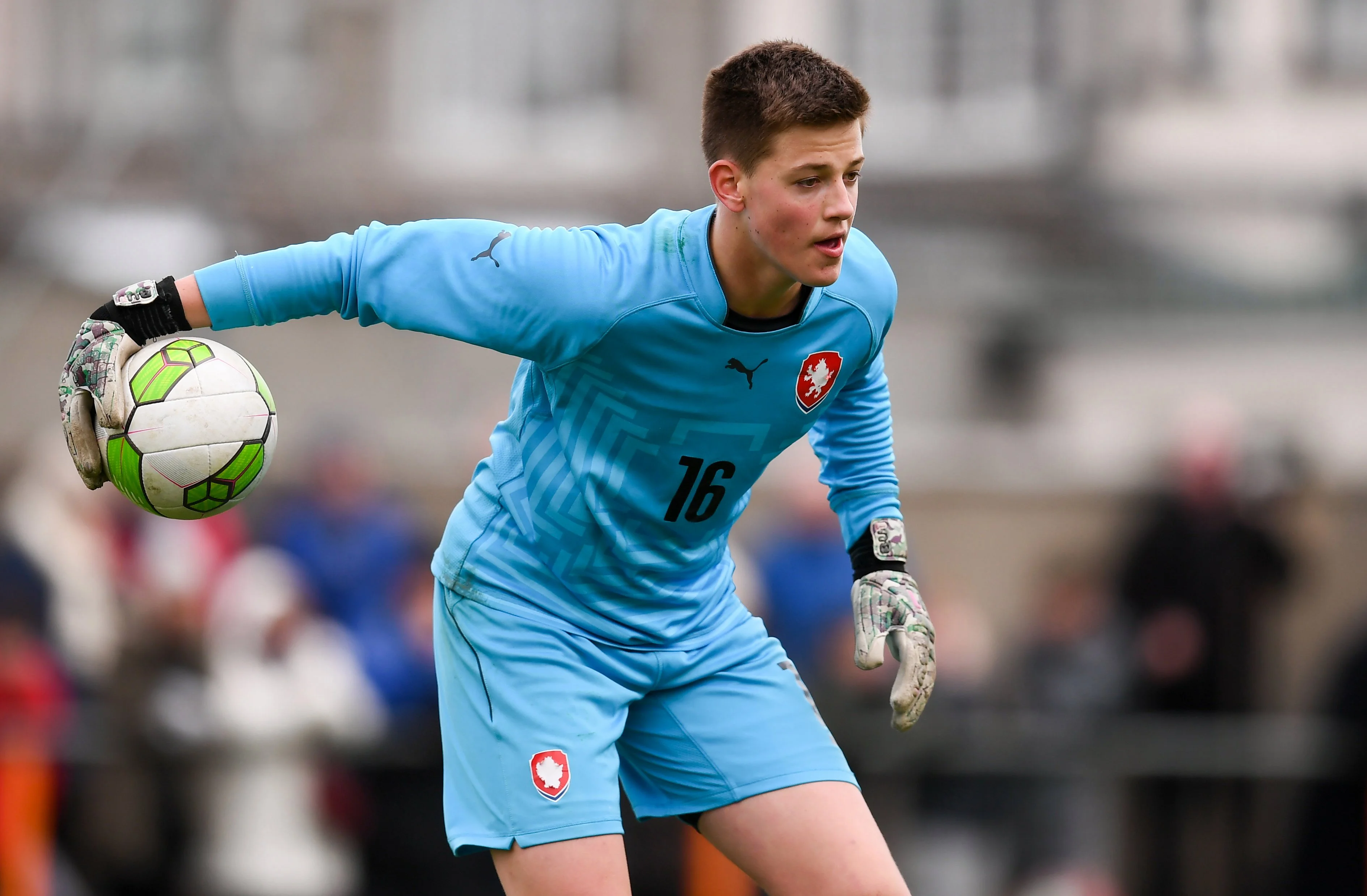 Радек Вітек / Сайт Сігми