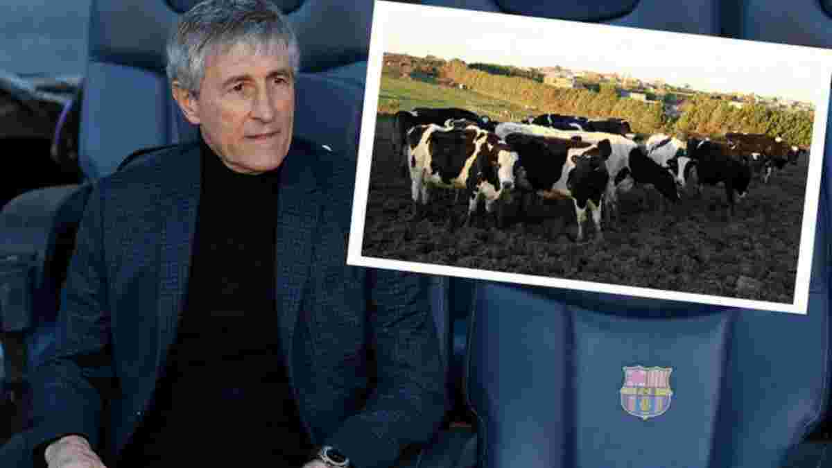 "Хочу показать кубок Лиги чемпионов своим коровам": Сетьен озвучил планы на будущее

