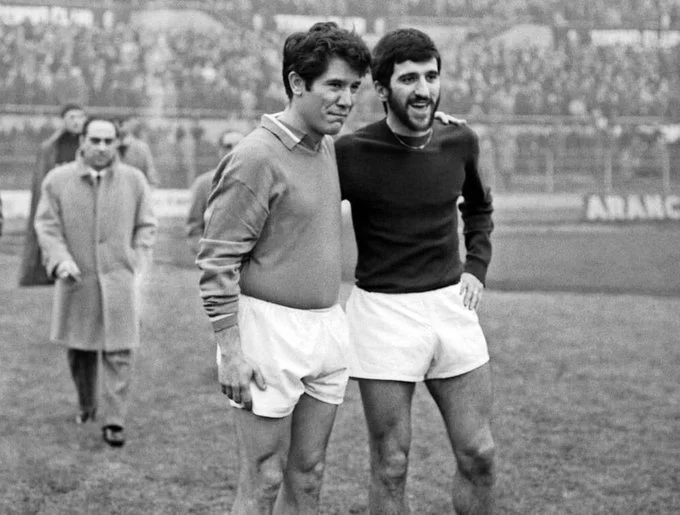 сіворі мероні сіворі мероні