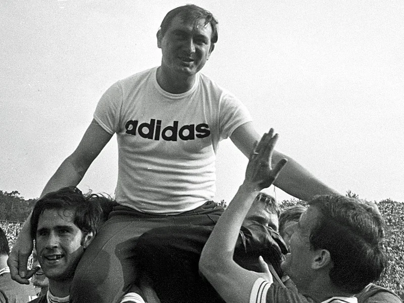 зебец зебец