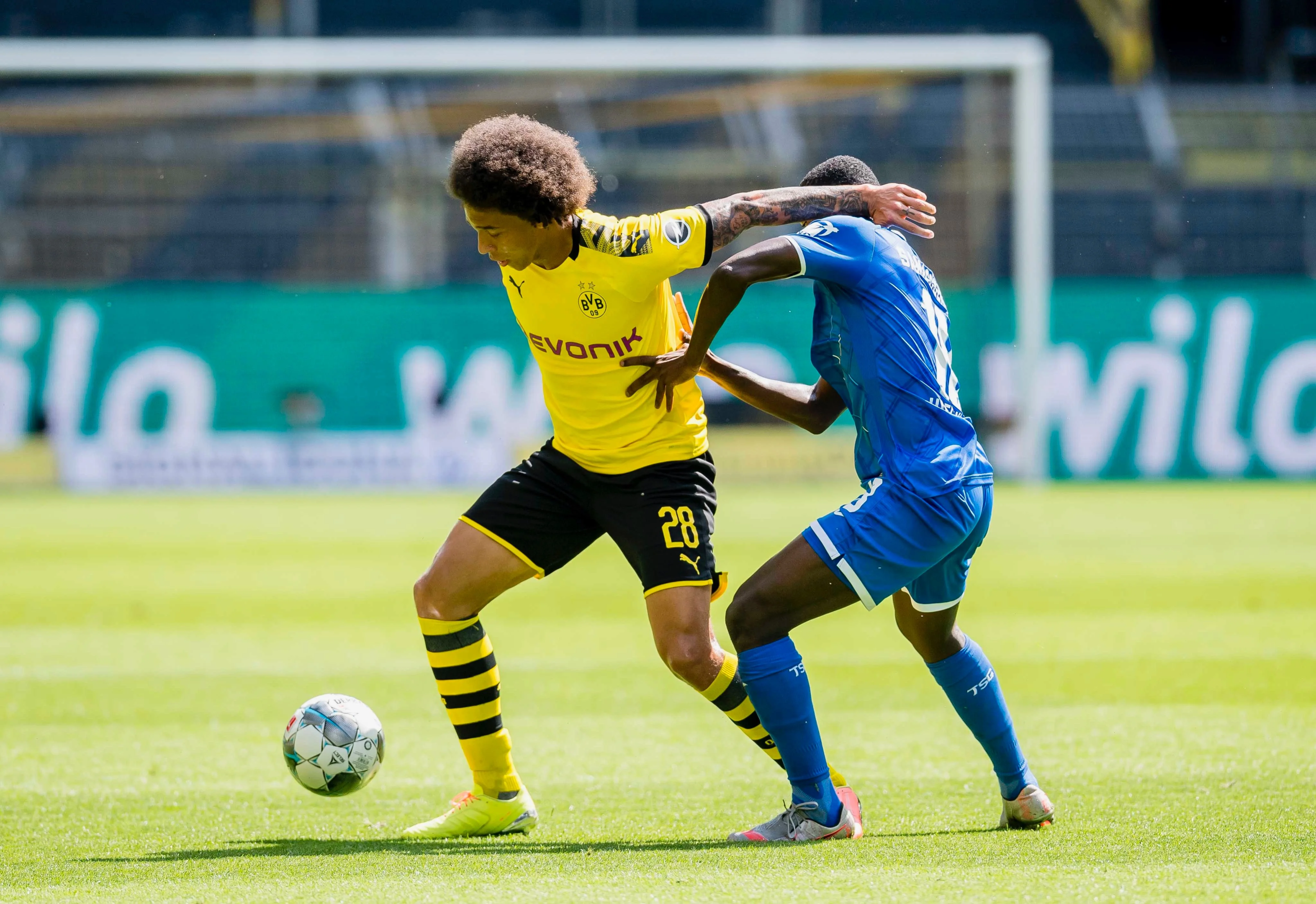 Борусія Д – Хоффенхайм / Фото ФК Борусія Д