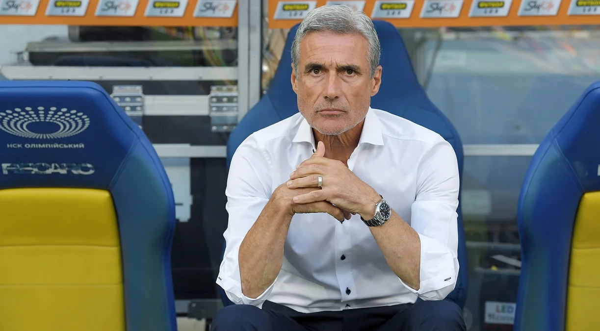 Луиш Каштру / ФК Шахтер