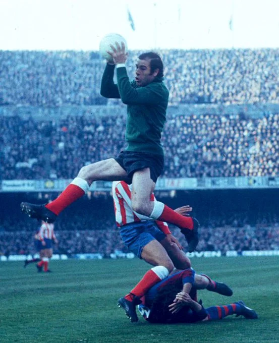 рейна рейна