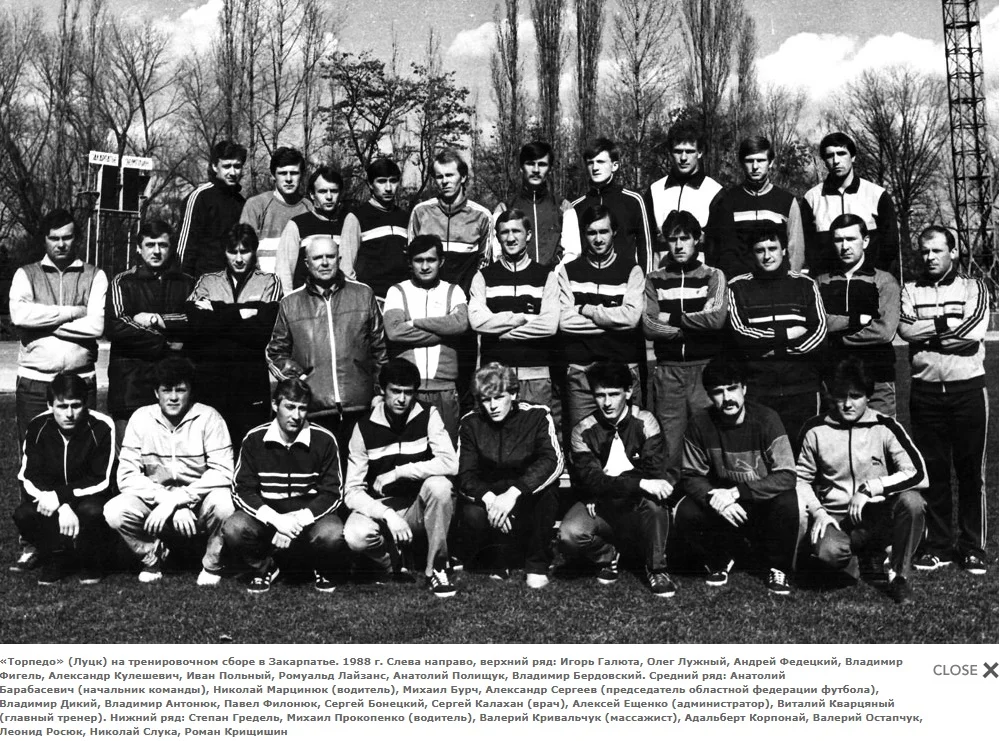 бурч волинь