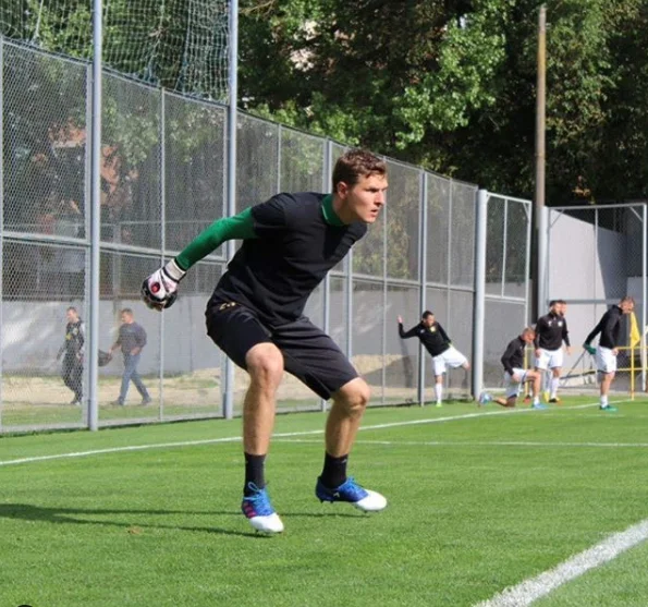 волинець волинець