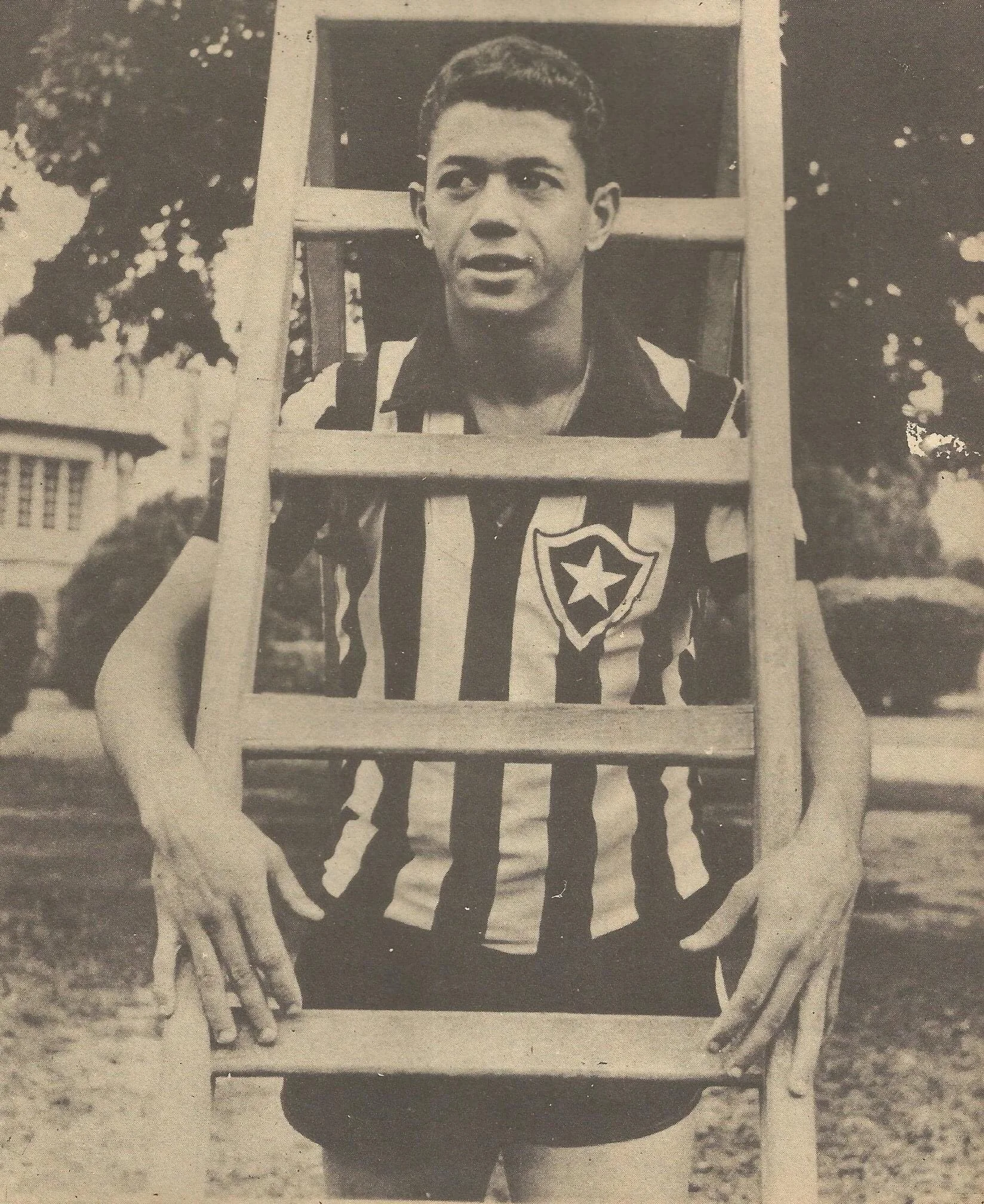 амарілдо амарілдо