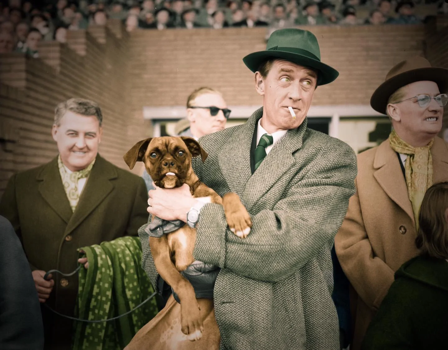 бакінгем бакінгем