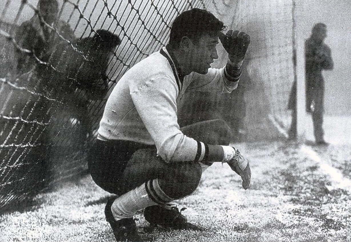 маттрель маттрель