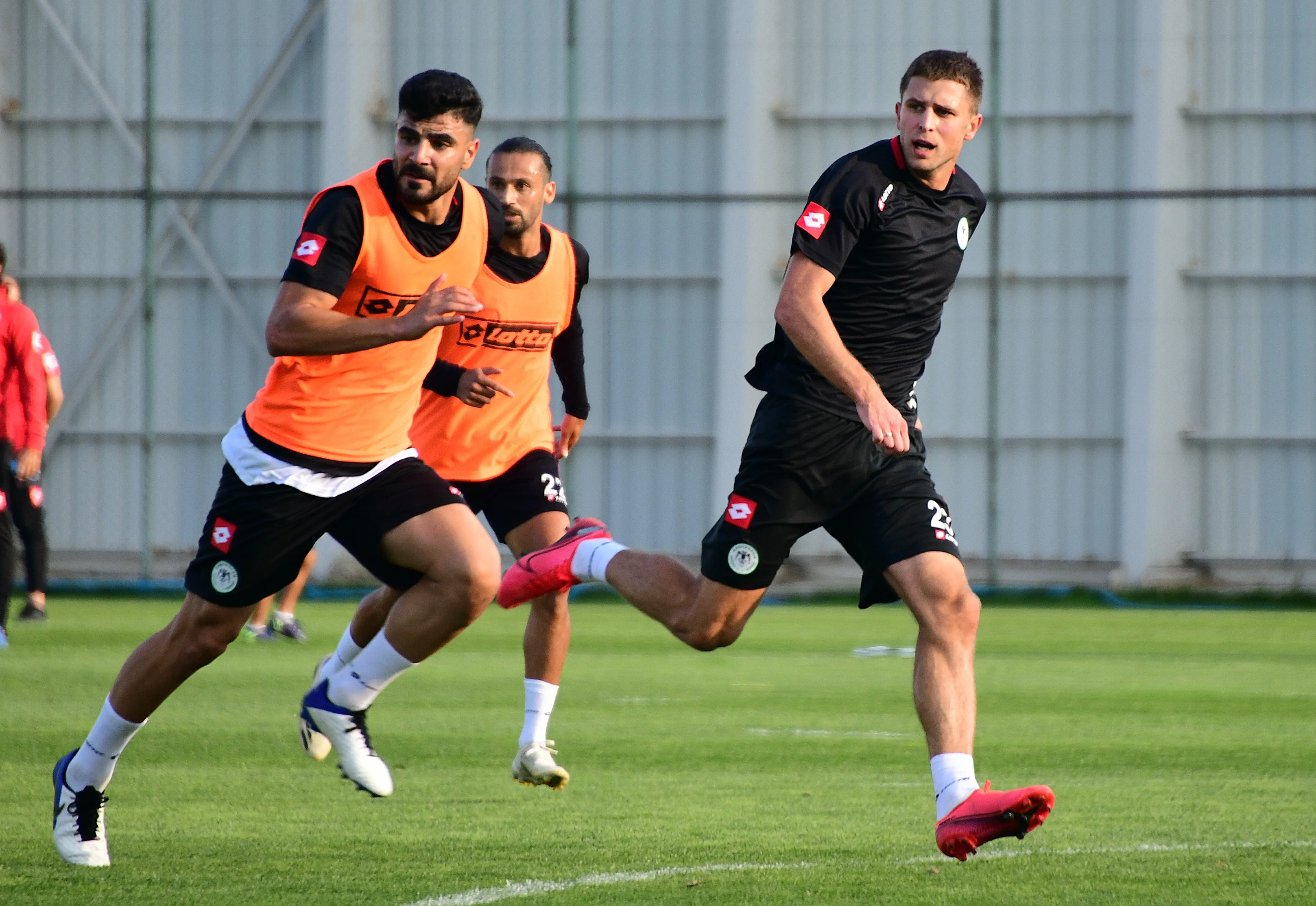 кравець кравець